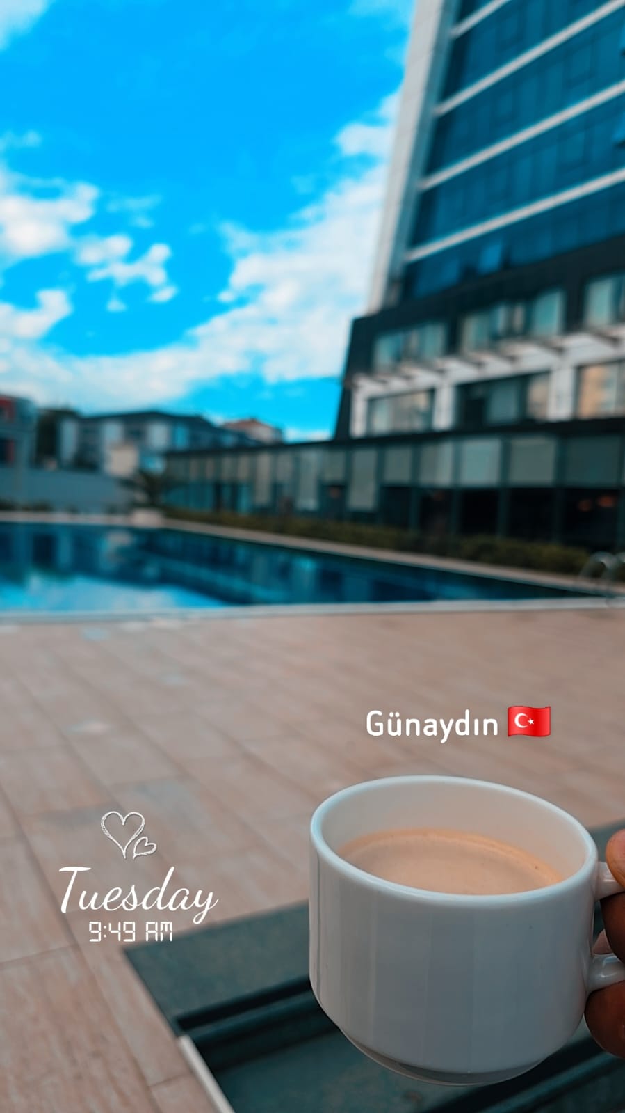 Mahmoud Sheikh_rt3qY