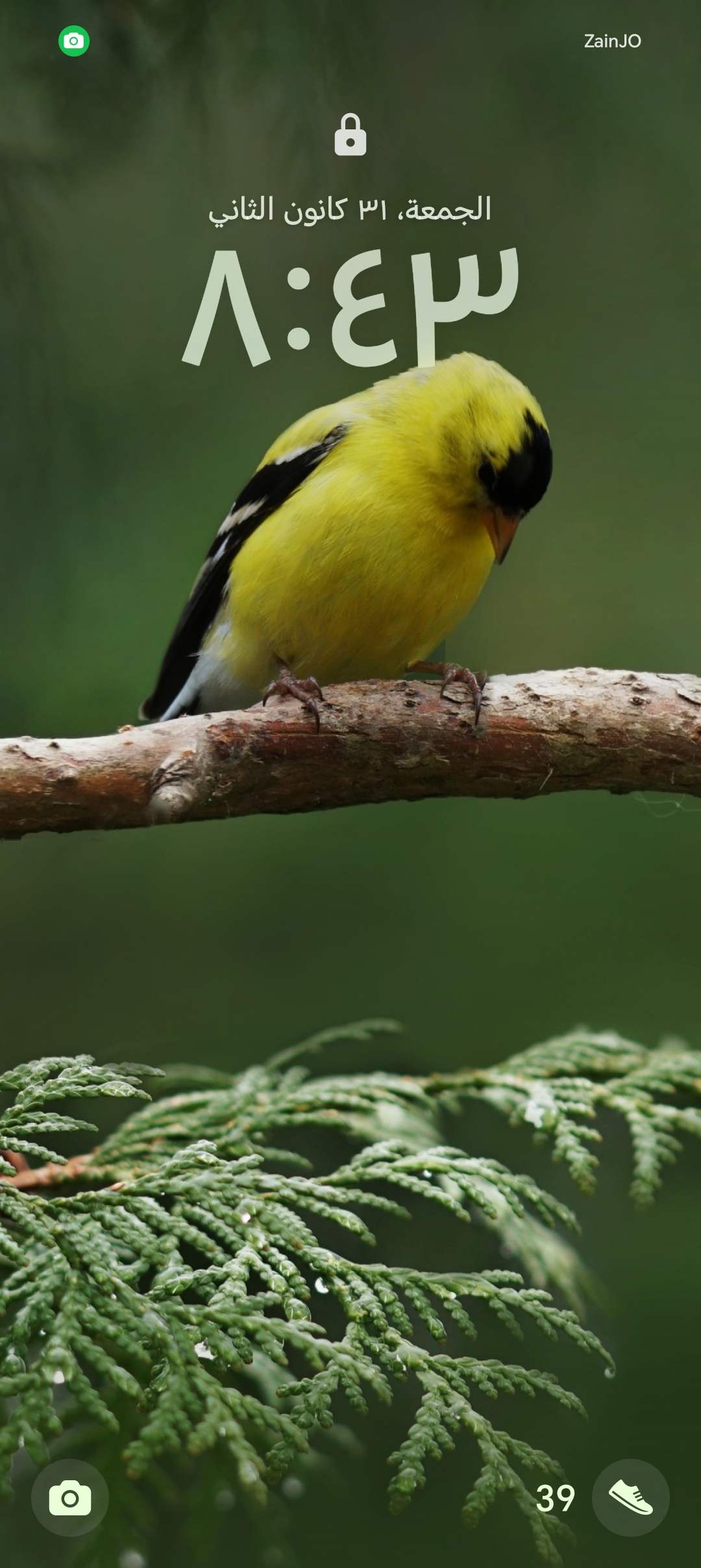 Mohammed Al_amayrih_iKTWl