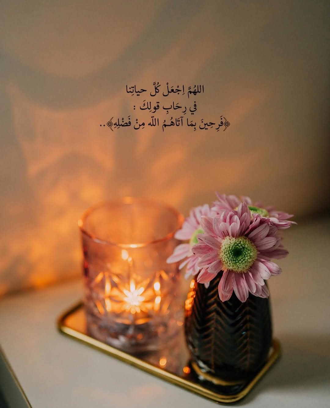 ��� ����_DiviG